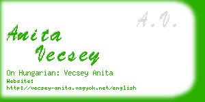 anita vecsey business card